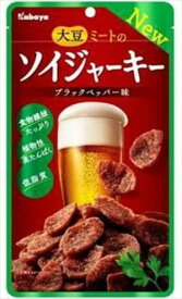 送料無料 カバヤ食品 ソイジャーキー 45g×48個