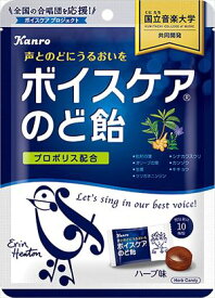 送料無料 カンロ ボイスケアのど飴 70g×24個