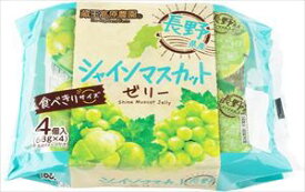 送料無料 蔵王高原農園 長野県産シャインマスカットゼリー (68g×4個)×12個