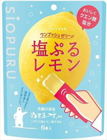 送料無料 井村屋 ワンプッシュゼリー塩ぷるレモン(6本入)×16袋