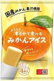 送料無料 谷尾食糧 凍らせて食べる みかんアイス(70g×4本入)×24袋