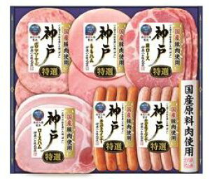 y[J[zyɓnMtg z ɓnMtg IKE-301 _ˁEZb