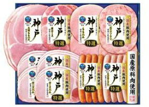 y[J[zyɓnMtg z ɓnMtg IKE-501@_ˁEZb