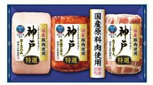 y[J[zyɓnMtg z ɓnMtg IKE-5 _ˁEZb