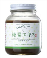 送料無料 いんやん倶楽部 梅醤エキス 濃縮番茶入り 250g×4個