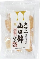 送料無料 アリモト 山田錦せんべい 塩 25枚入×6袋