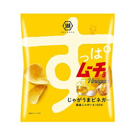 送料無料 湖池屋 すっぱムーチョチップス さっぱりビネガー味 55g×24袋