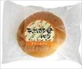 送料無料 食祭館 天然酵母パン クリームパン 24個