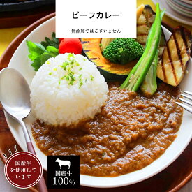 とろとろビーフカレー 【 母の日 惣菜 ギフト カレー 国産牛 冷凍食品 冷凍 おかず 食品 簡単 時短 手作り 非常食】