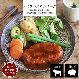 デミグラスソースハンバーグ 国産合挽(牛、豚) 【 お取り寄せグルメ 冷凍食品 お惣菜 ハンバーグ 牛肉 豚肉 国産牛 国産豚 デミグラスソース 洋食 冷凍 おかず 食品 簡単 時短 手作り 非常食 お取り寄せ ギフト 誕生日 内祝い お中元 父の日 母の日 敬老の日】