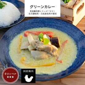 グリーンカレー 【グリーンカレー タイ料理 カレー 無添加 冷凍食品 惣菜 お惣菜 ココナッツミルク 】