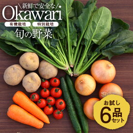 OKAWARI旬の野菜 6品お試しセット（有機野菜と特別野菜と果物）【 野菜 セット 有機栽培 特別栽培 お試し じゃがいも 人参 玉ねぎ 新鮮 安全 オーガニック 無農薬 無化学肥料 送料無料 福袋 】