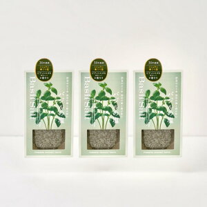 oW̉ 50g × 3b VR C V VR   n[u\g Y Y okawariTOKYO   Mtg   Y  n[u ~l ɓYoW xr[o