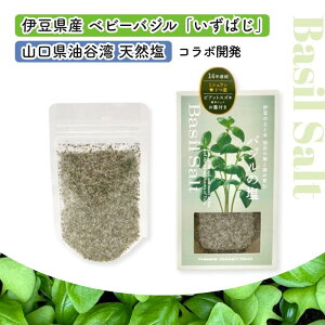 oW̉ 50gbC V VR   n[u\g Y Y okawariTOKYO   Mtg {Y VR  Y  n[u oW\g ~l Mtg ɓY