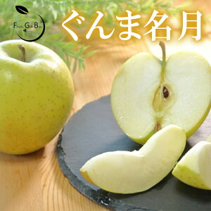 2025 Mtg ܖ I JAS_ p Ε ь S F  v[g  j 䋟 ʕ  t[c yRʕH[z11{