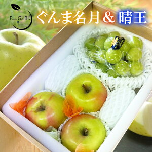 2025 Mtg (500g)ܖ I JAS_ p Ε ь S F  v[g  j 䋟 ʕ  t[c yRʕH[z11{