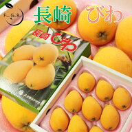 長崎のびわ 高級ハウス栽培 約500g前後 大きさお任せ（8玉-12玉） 贈答用 ギフト 高糖度 びわ 贈り物 プ…