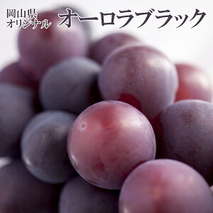 2025 Mtg RY I[ubN 3-5[2kg ԏGi p 䒆 Ε hV̓  Ԃǂ uhE v[g  j 䋟 ʕ  t[c yRʕH[z