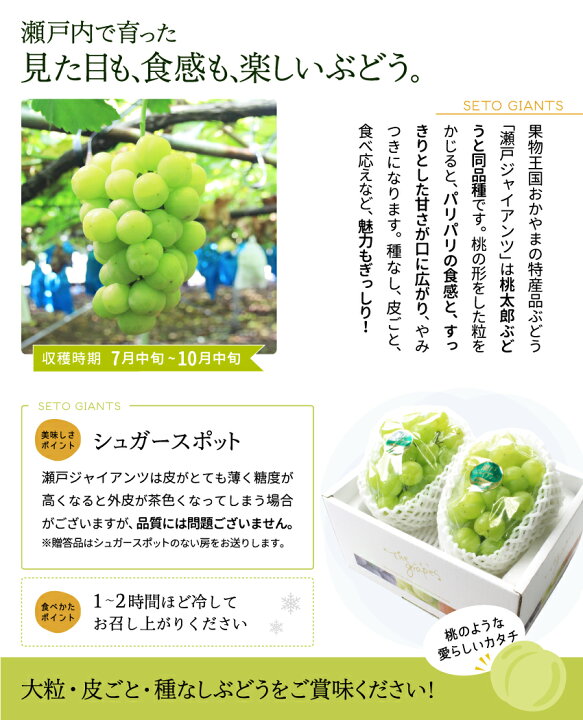 楽天市場】瀬戸ジャイアンツ 2房(400g×2) 贈答用 岡山県産 葡萄 ぶどう ブドウ ギフト 秋ギフト 桃太郎ぶどうと同品種 プレゼント 御礼 御祝 くだもの 果物 フルーツ【岡山果物工房】 : 岡山果物工房〜御中元御歳暮ギフト 楽天市場】瀬戸ジャイアンツ 2房(400g×2) 贈答用 岡山県産 葡萄 ぶどう ブドウ ギフト 秋ギフト 桃太郎ぶどうと同品種 プレゼント 御礼 御祝 くだもの 果物 フルーツ【岡山果物工房】 : 岡山果物工房〜御中元御歳暮ギフト