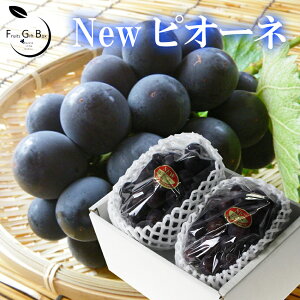 2025 Mtg RY sI[l ԏGi 2[ p 䒆 Ε hV̓  Ԃǂ uhE v[g  j 䋟 ʕ  t[c yRʕH[z
