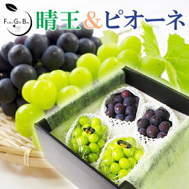 楽天市場】 岡山ぶどう > シャインマスカット（晴王） : 岡山果物工房 