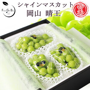 2025 Mtg RY VC}XJbg  Gi 2.5kg4[-2.1kg3[  [ ip 䒆 Ε hV̓  Ԃǂ uhE v[g  j 䋟 ʕ  t[c 