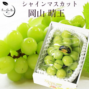 2025 MtgRY VC}XJbg  Gi 1[700g p 䒆 Ε hV̓  Ԃǂ uhE v[g  j 䋟 ʕ  t[c yRʕH[z yVO