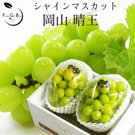 2026年 ギフト 楽天グルメ大賞受賞品！岡山県産 シャインマスカット 晴王 青秀品 2房(400g×2) 贈答用 御…