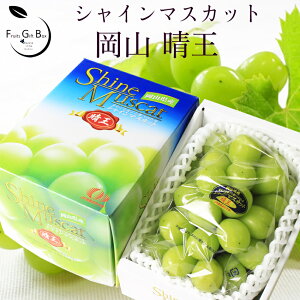 2025 Mtg RY VC}XJbg  ԏGi 1[700g-1kg 嗱[ p 䒆 Ε  Ԃǂ uhE v[g  j 䋟 ʕ  t[c yRʕH[z y