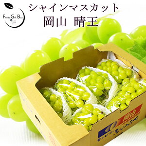 2025 Mtg RY VC}XJbg  5kg(5`10[) p 䒆 Ε hV̓  Ԃǂ uhE v[g  j 䋟 ʕ  t[c yRʕH[z