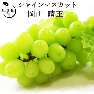 󂠂 RY VC}XJbg  1.2kg 2-4[ ƒp ȈՕ  uhE yRʕH[zʌ XE͂EEɂ͌Ȃił ʌ