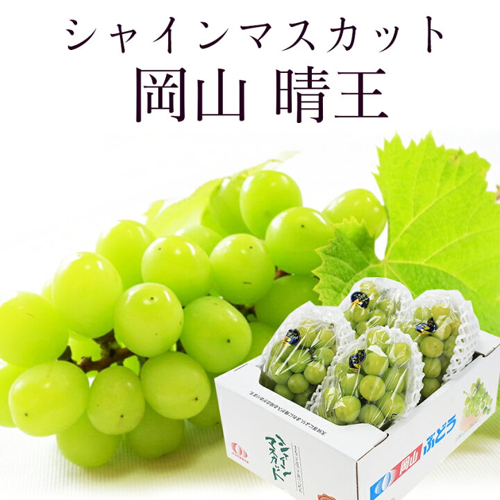 楽天市場】2024 岡山県産 シャインマスカット 晴王 優品 2kg(3〜5房  