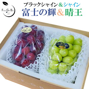 2025 Mtg RY VC}XJbg  xm̋P iubNVCjGi 2[ p 䒆 Ε hV̓  Ԃǂ uhE v[g  j 䋟 ʕ  t[