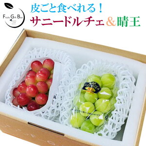 2025 Mtg RY VC}XJbg  Tj[h`F Gi 2[ p 䒆 Ε hV̓  Ԃǂ uhE v[g  j 䋟 ʕ  t[c yRʕH