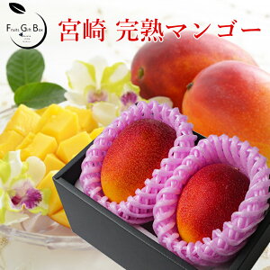 マンゴー 贈答用の人気商品・通販・価格比較 - 価格.com