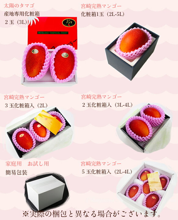 楽天市場】完熟ミニ マンゴー 6玉 秀品 母の日 父の日 お中元 宮崎県産 