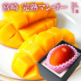 楽天市場 母の日 果物の通販