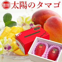 楽天市場】太陽のタマゴ 赤秀の通販