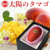 楽天市場】太陽のタマゴ（マンゴー｜フルーツ・果物）：食品の通販