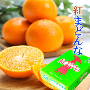 2025 Ε Mtg g܂ǂ 3kg G Y ݂ ~J p QY JAЂߒ Ε g}hi v[g  j 䋟 ʕ  t[c yRʕH[z