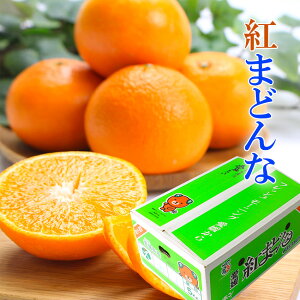みかん 4.5kg 訳あり 紅まどんな 家庭用 ○等級 大きさお任せ 愛媛県産 中島 宇和島 東予 ミカン 蜜柑 フルーツ 【岡山果物工房】予約12月中旬より発送