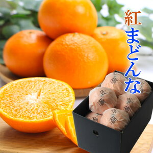 2025 Ε Mtg g܂ǂ Ƌ L-2L 1.2kg 6-5 Y ݂ ~J p QY JAЂߒ Ε g}hi v[g  j 䋟 ʕ  t[c yRʕH