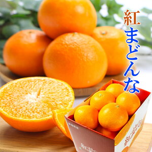 2025 Ε Mtg g܂ǂ Y 1.3kg ԏG M-2L 6-10ʓ Y ݂ ~J p QY JAЂߒ Ε g}hi v[g  j 䋟 ʕ  t[c y