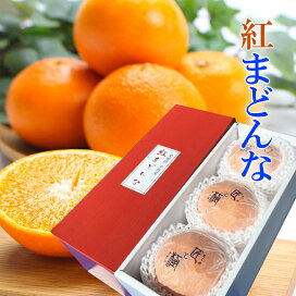 楽天市場】2024 お歳暮 ギフト 紅まどんな みかん 青秀 5kg 中島産 