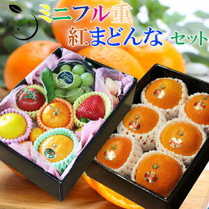 2025 お歳暮 ギフト ミニフル重箱セット 中島産紅まどんなLサイズ6玉とミニフルーツBOXの重箱のセットになります。 みかん ミカン ぶどう シャインマスカット イチゴ 贈答用 御歳暮 紅マドン
