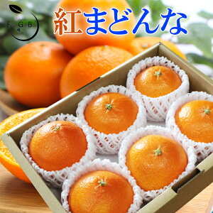 2025 Ε Mtg g܂ǂ LTCY6ʓ Gi ݂ ~J p QY JAЂߒ  \ ɂ Ε g}hi v[g  j 䋟 ʕ  t[c y