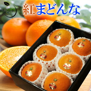 2025 Ε Mtg g܂ǂ LTCY6ʓ Gi ݂ ~J p QY JAЂߒ  \ ɂ Ε g}hi v[g  j 䋟 ʕ  t[c y