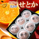 せとか 匠と極 6玉 贈答用 愛媛県 中島産 みかん JAえひめ中央 ミカン ギフト プレゼント 御礼 御祝 御供 果物 くだもの フルーツ 【岡山果物工房】1玉ずつ丁寧にお包みしております