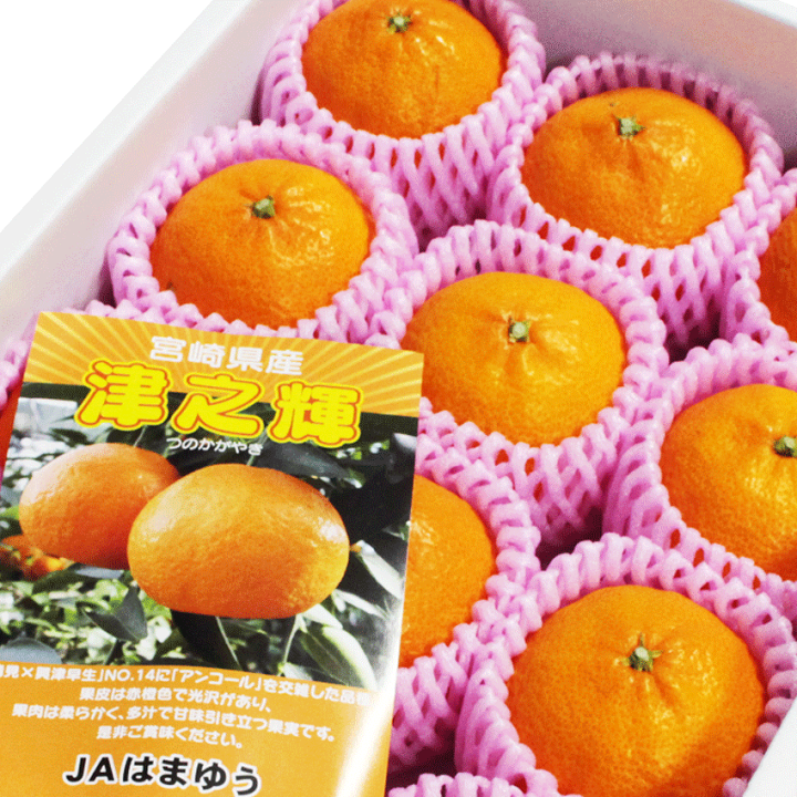 楽天市場】みかん 津の輝 お試し 家庭用 5kg JAはまゆう 宮崎県産