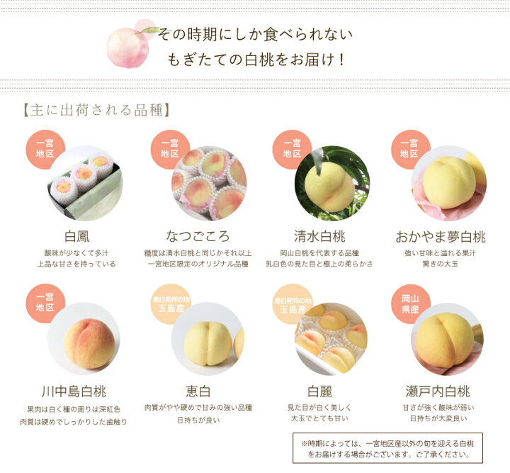 楽天市場】2025 岡山 白桃 家庭用 エース等級 大きさお任せ 約3.5kg 